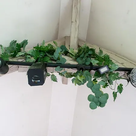 Maison Piscine & Tennis - Collection Idylliq